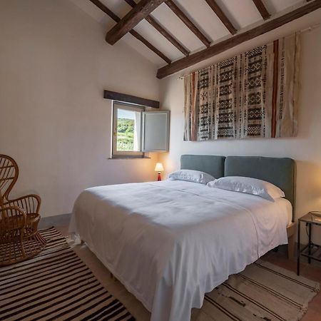 Locanda Fontelupa Campagnatico Pokój zdjęcie